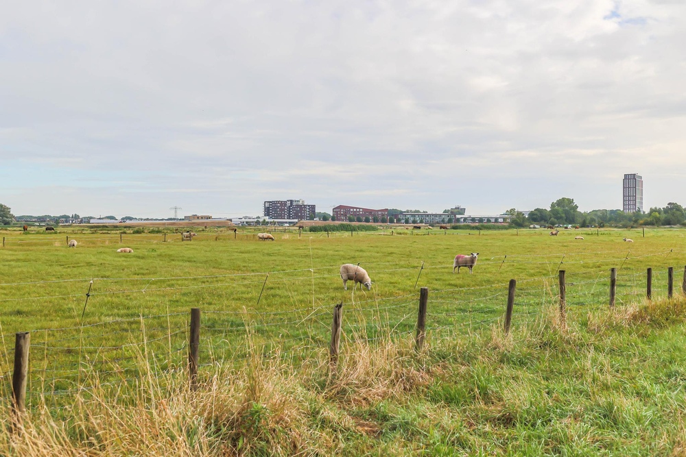 Josine Reulingstraat 3, 9746 AP Groningen - € 295.000 k.k. - ben-s Makelaars Groningen