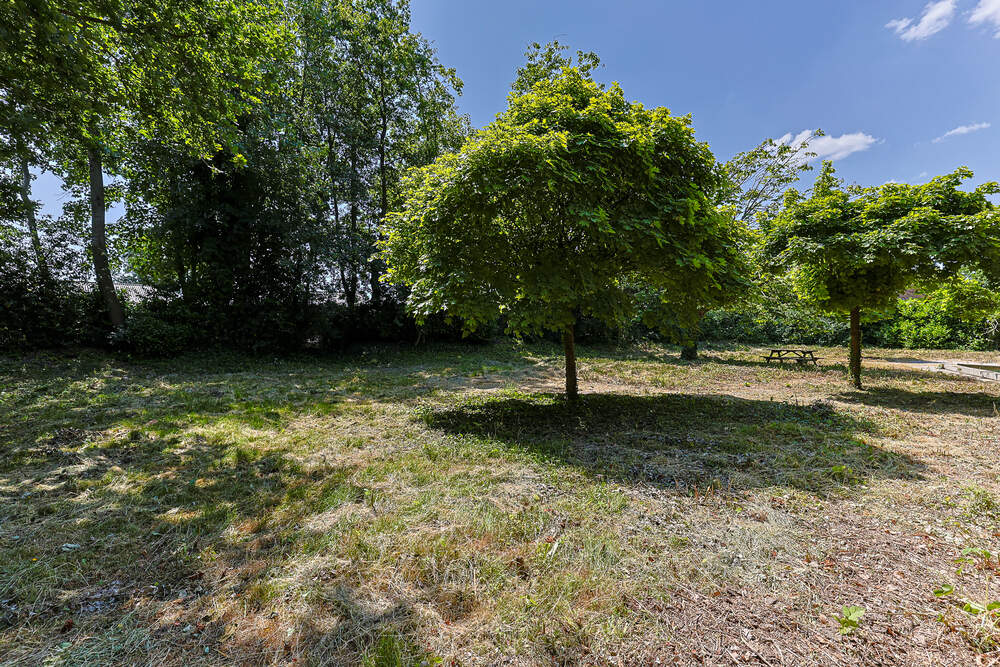 Molenberg 12, 9301 AS Roden - € 750.000 k.k. - ben-s Makelaars Groningen