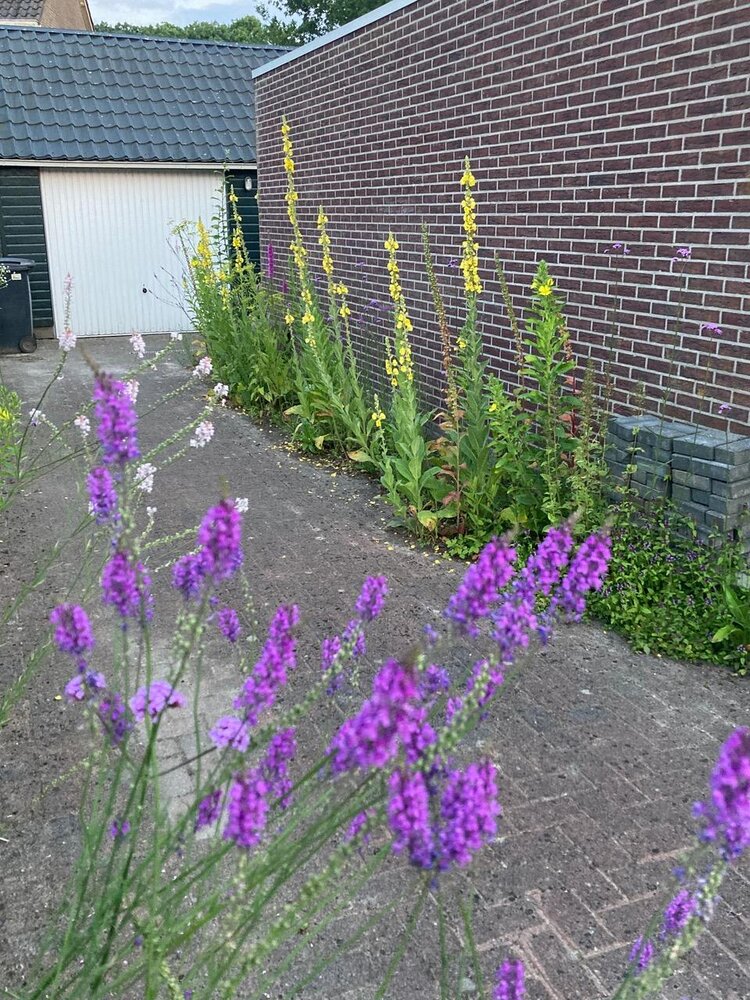 Dobbestraat 2, 9795 PG Woltersum - € 419.000 k.k. - ben-s Makelaars Groningen