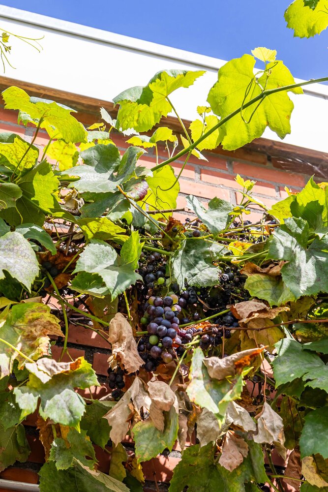 Bij de Sluis 4, 9726 AN Groningen - € 295.000 k.k. - ben-s Makelaars Groningen