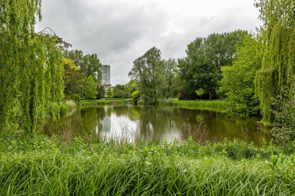 Celebesstraat 50, 9715 JJ Groningen - € 340.000 k.k. - ben-s Makelaars Groningen